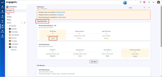 My performance review dashboard2