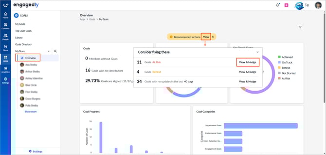Nudge the goal owner1